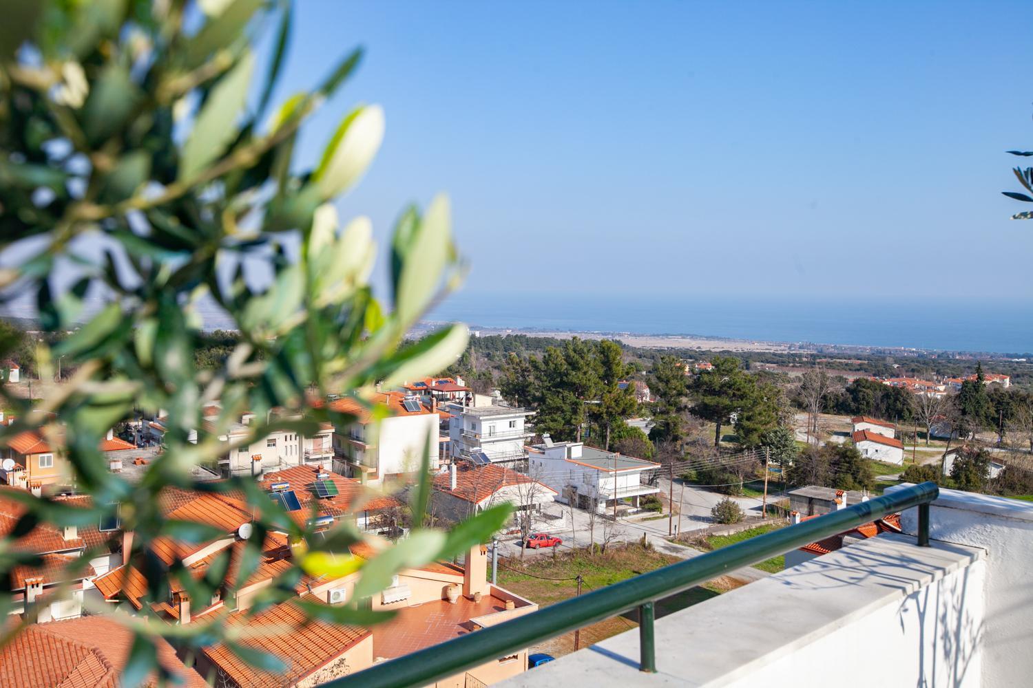 Rodon Apartment With Great View, Sauna And Jacuzzi Litochoro Exterior photo